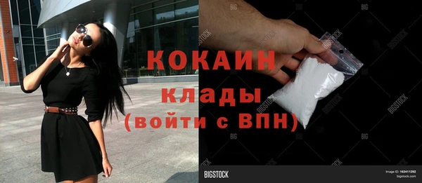 дживик Арсеньев