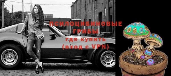 дживик Арсеньев