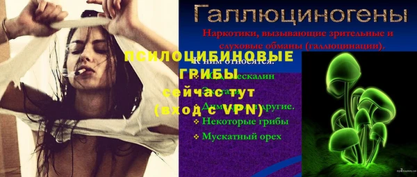 дживик Арсеньев