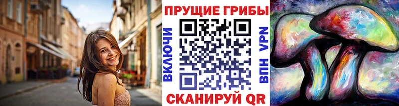 Псилоцибиновые грибы ЛСД магазин наркотиков OMG вход Новочеркасск